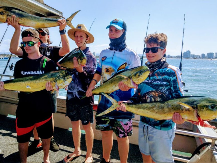 Fishing Charters Gold Coast Promotions: Strategies for Securing Optimal Discounts and Exclusive Offers.