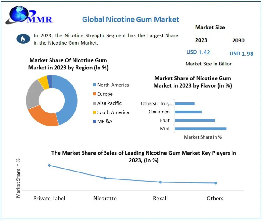 Nicotine Gum Market Size and Share Projections for 2030