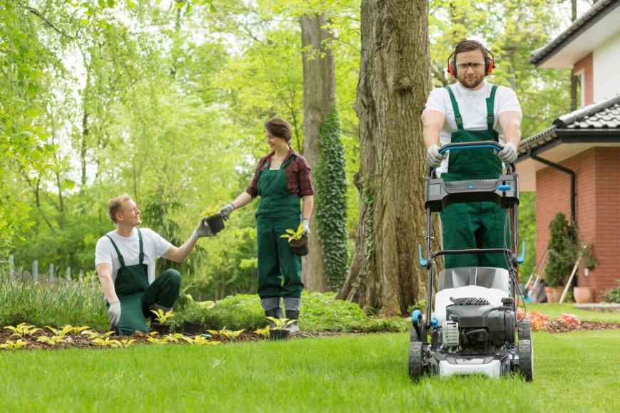 Why Landscape Service is Essential for Your Property