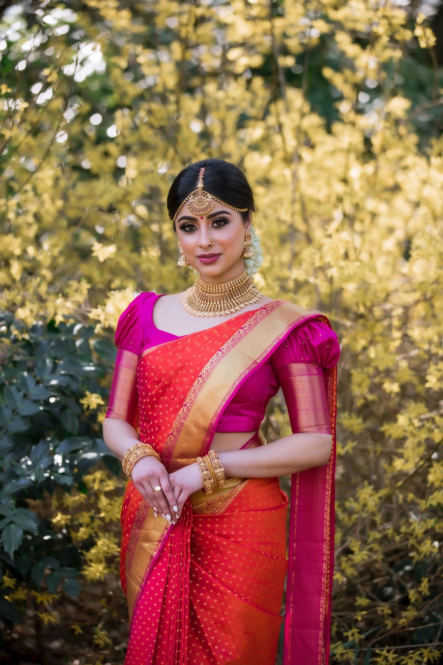 Indian Sarees Collection | Wedding Reception Sarees in SA