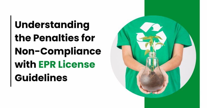 Understanding the Penalties for Non-Compliance with EPR License Guidelines