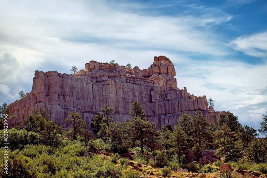 Exploring Colorado Springs: A Day at Pulpit Rock Park and The Airplane Restaurant