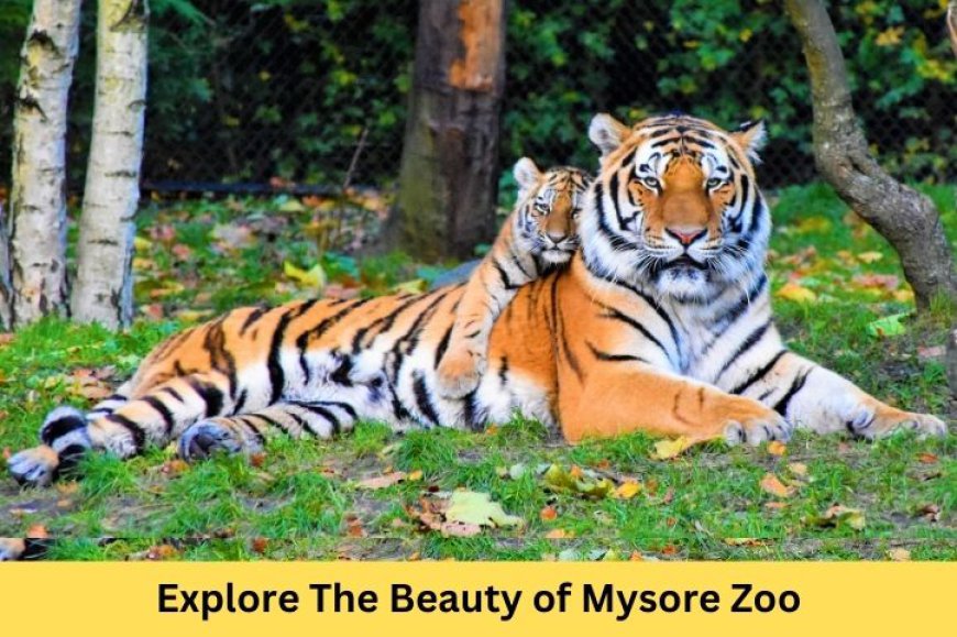 Mysore Zoo Timings: A Comprehensive Guide to Visiting India's Iconic Wildlife Park