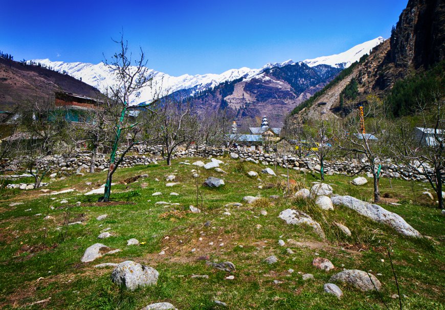 8 Fun Activities for Families Visiting Manali