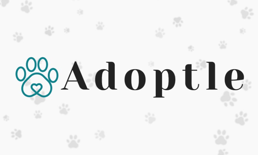 The Incredible Rise Of Adoptle Game – Visualized!