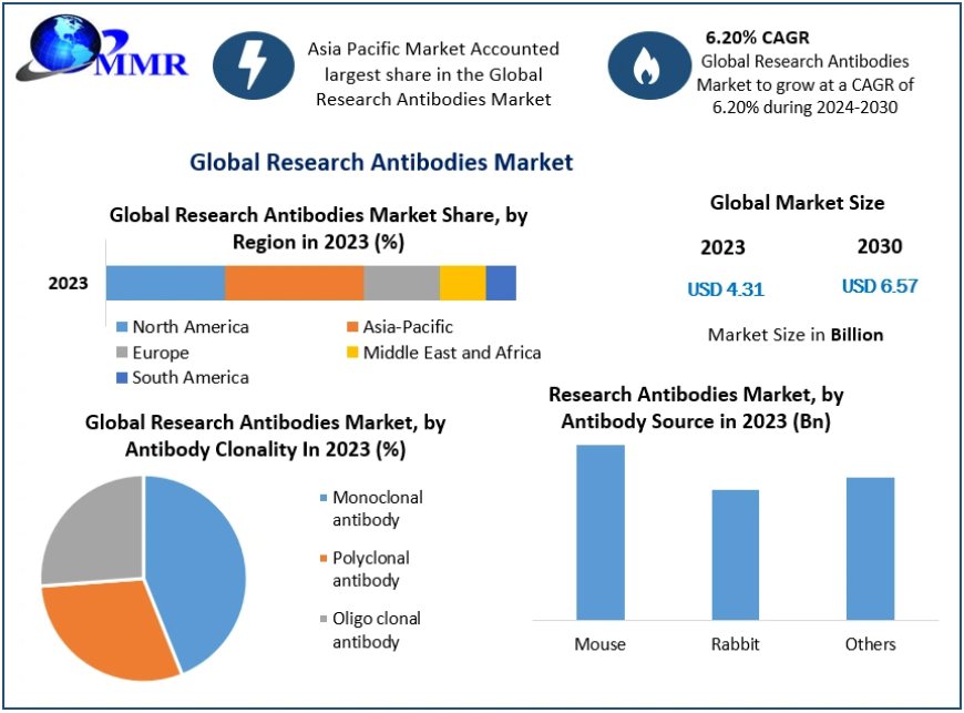 Research Antibodies Market Size, Share, Revenue, and Worth Statistics | 2024-2030