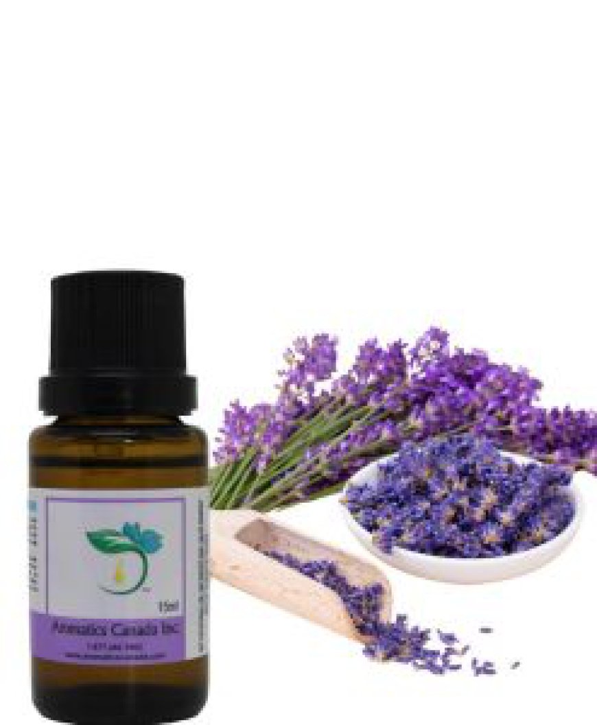 Experience the Finest Bulgarian Lavender Essential Oil