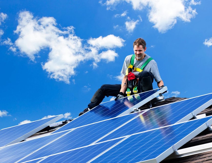 How Solar Companies Are Advancing Green Energy Initiatives