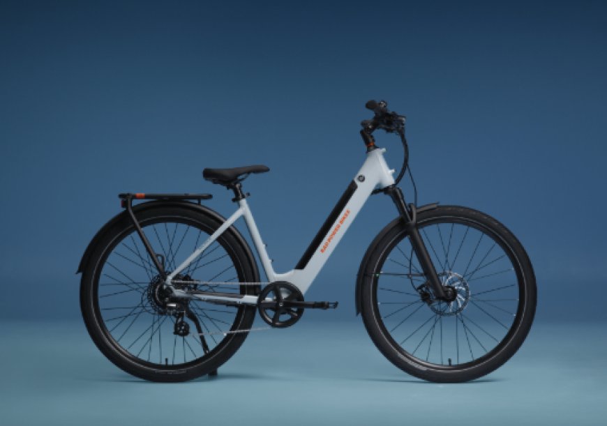 Why Electric Cargo Bikes are the Future of Sustainable Logistics