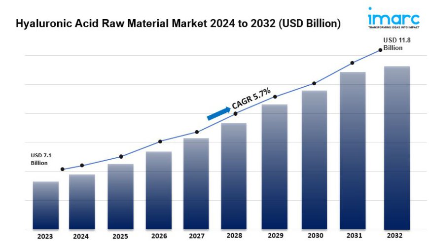 Hyaluronic Acid Raw Material Market is Expected to Reach US$ 11.8 Billion by 2032