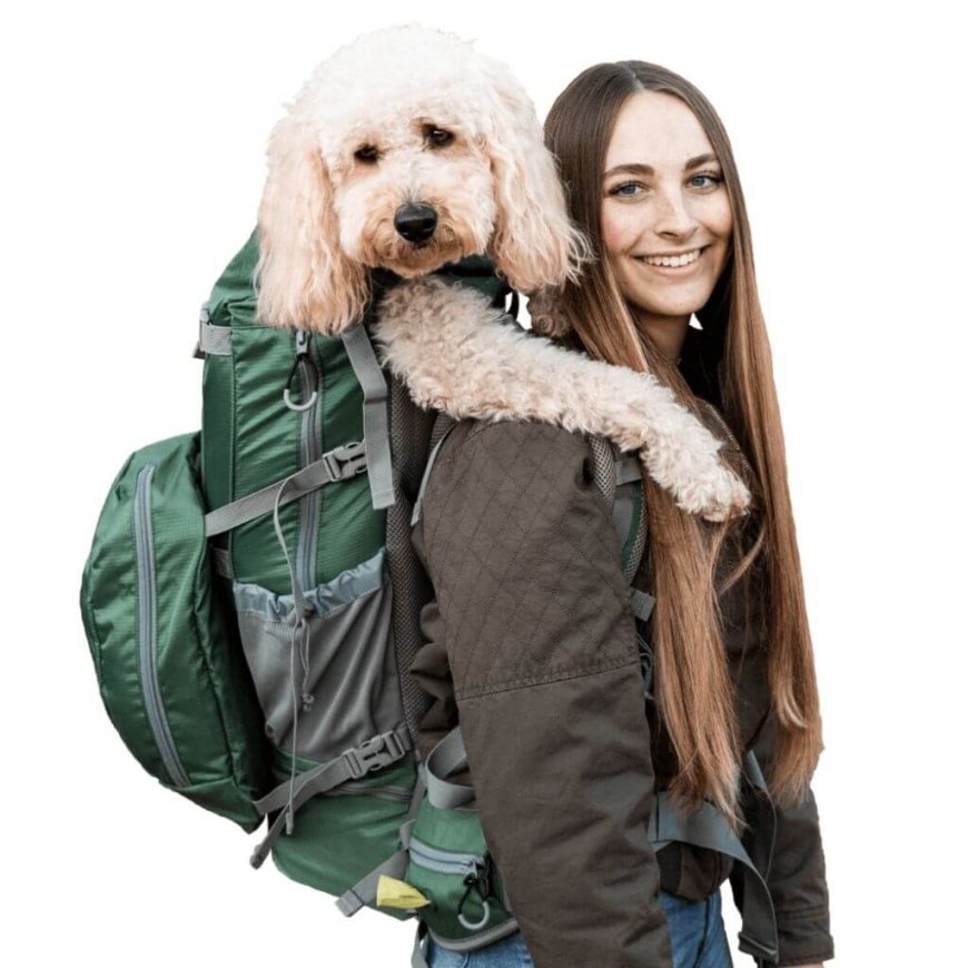 The Best Dog Carrier in the United Kingdom – New Website Launch Coming Soon!