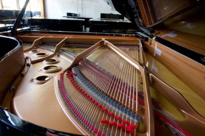 Your Ultimate Guide to Piano Tuning and Repair in San Antonio