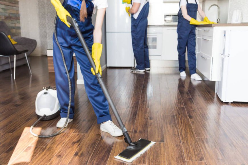 The Importance of Domestic Cleaning Services in Modern Life