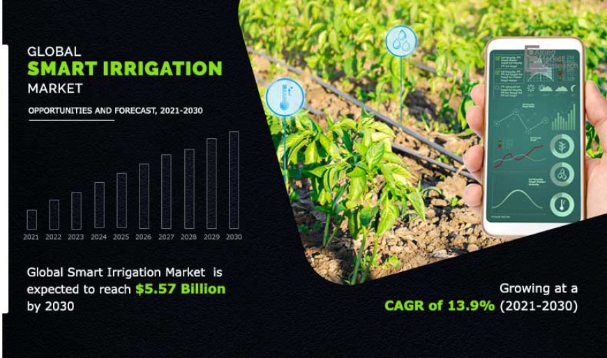 Irrigation Controller Market Analysis, Size, Share, Growth, Trends, and Forecasts by 2031