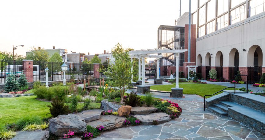 How Commercial Landscaping Can Elevate Your Charleston Business?