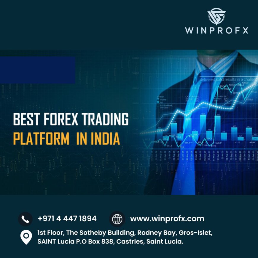 Everything You Need to Know About a Forex Trading Platform