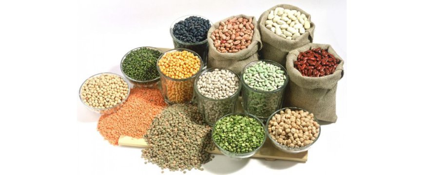 Seed Coating Market Analysis, Size, Share, Growth, Trends, and Forecasts by 2031