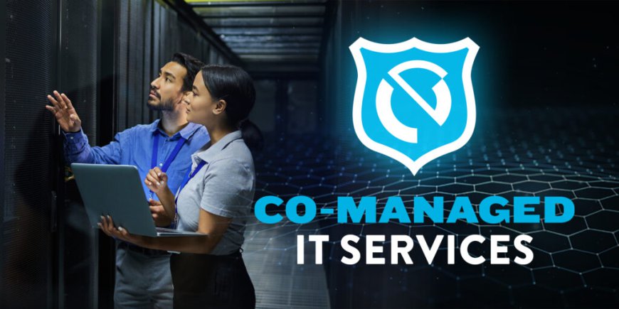 Elevate Your IT Experience: Seamless Collaboration, Maximum Expertise, Infinite Possibilities - Discover the Power of Co managed IT services for Your Business Success