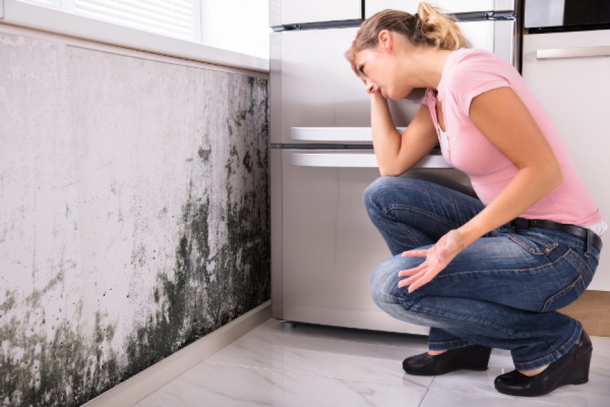 How is Mold in Air Ducts Professionally Removed?