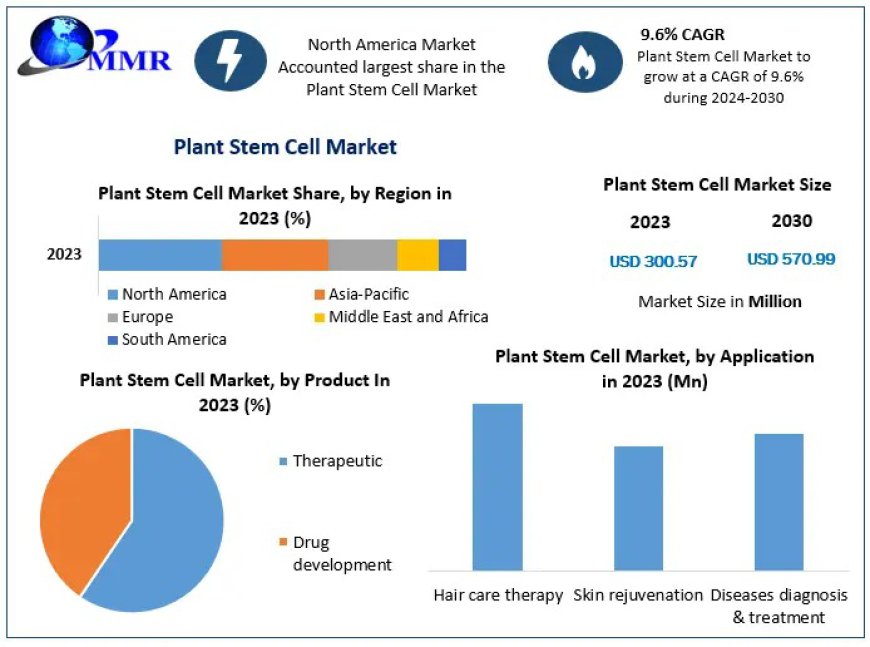 Plant Stem Cell Market Forecast: From US$ 300.57 Mn to US$ 570.99 Mn by 2030