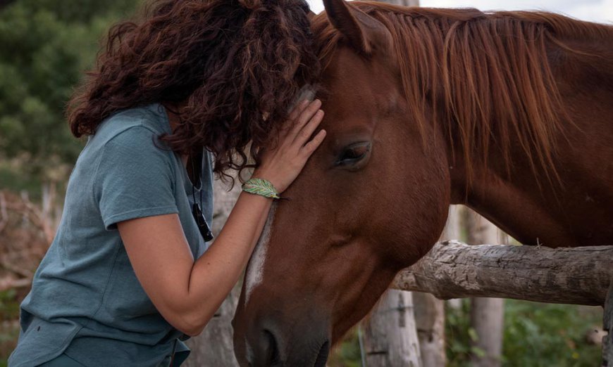 Equine Therapy: Discover the Transformative Bond Between Humans and Horses