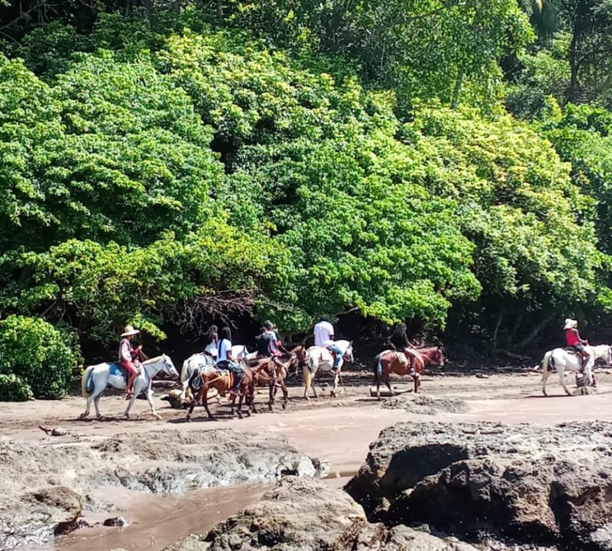 Steps to Book a Jaco Horseback Riding Tour