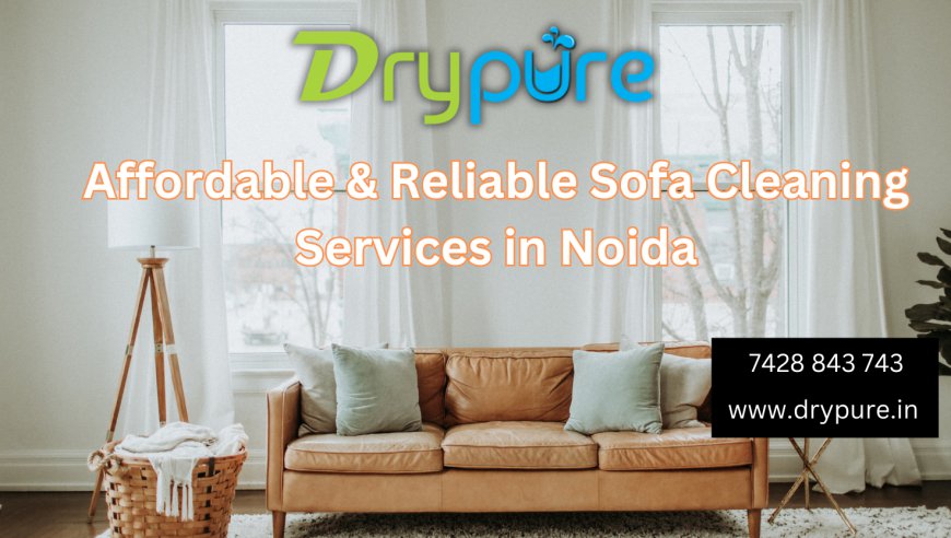 Affordable & Reliable Sofa Cleaning Services in Noida