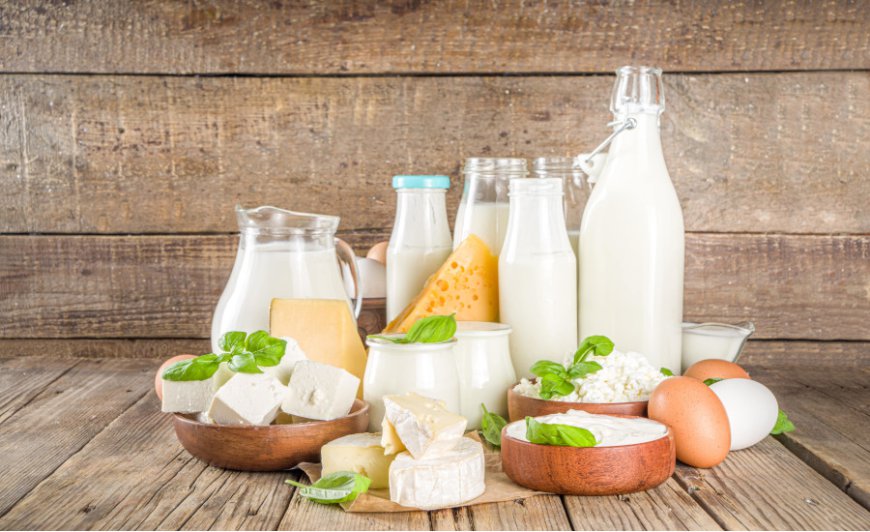 Dairy Ingredients Market Size, Share and Industry Analysis, Report 2025-2033