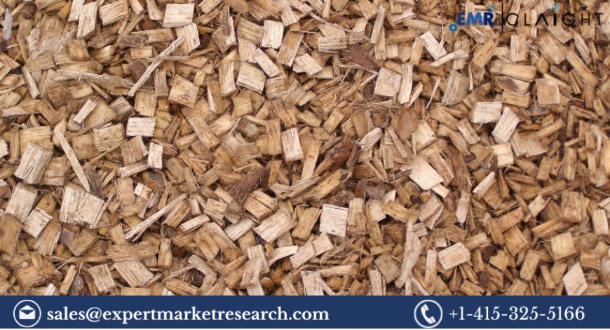 Wood Pulp Market Size and Share 2025-2033