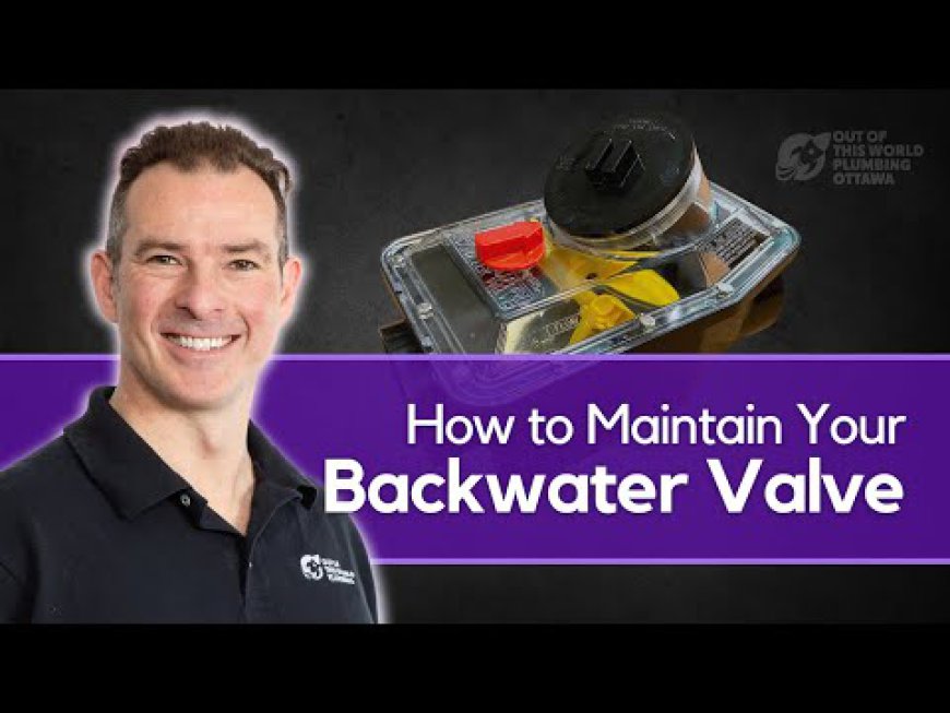 Comprehensive Guide to Backwater Valve Installation Cost: What You Need to Know