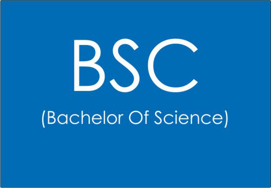 BSc Programs for Aspiring Researchers and Innovators