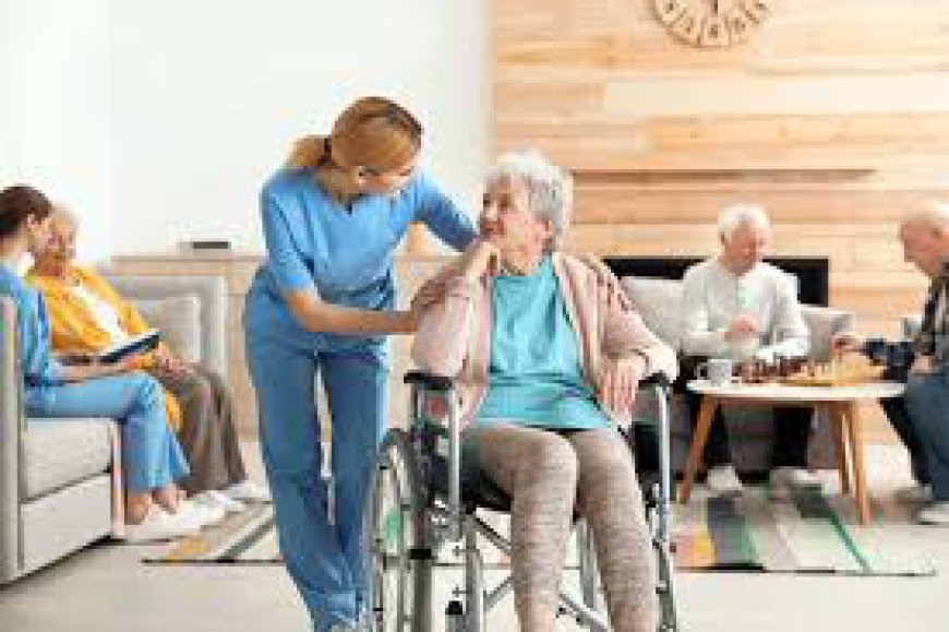 "How to Transition to Private Nursing Care at Home"