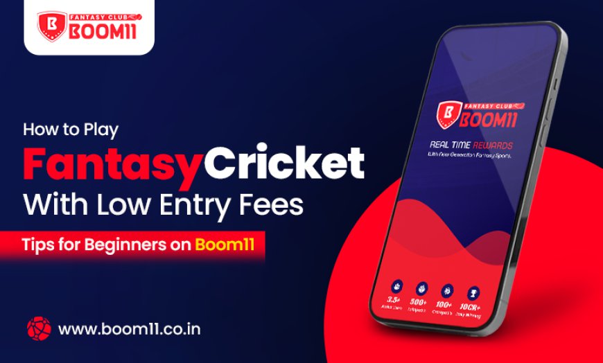 How to Play Fantasy Cricket with Low Entry Fees: Tips for Beginners on Boom11