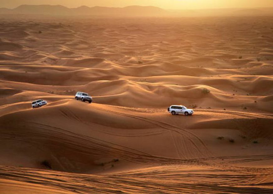 Top Desert Adventures in Dubai: From Dune Bashing to Camel Rides