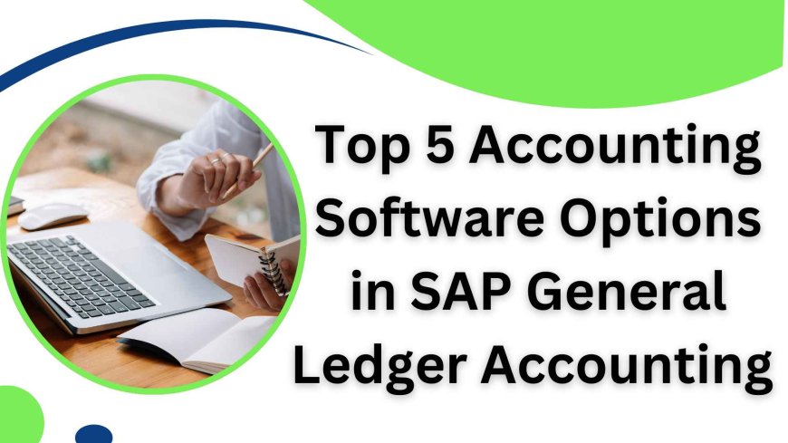 Top 5 Accounting Software Options in SAP General Ledger Accounting