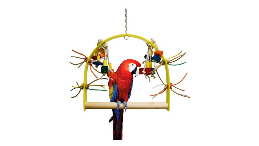 Cage Toys For Parrots: Everything You Need To Know!