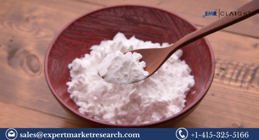 Rice Starch Market: Trends, Growth, and Industry Insights (2024-2032)