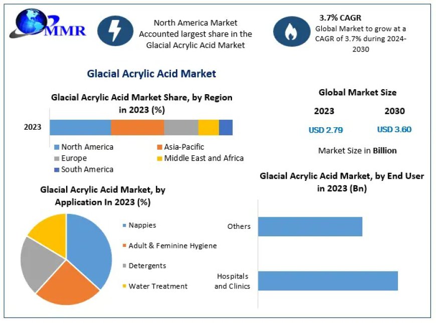 Glacial Acrylic Acid Market Growth and Future by 2030