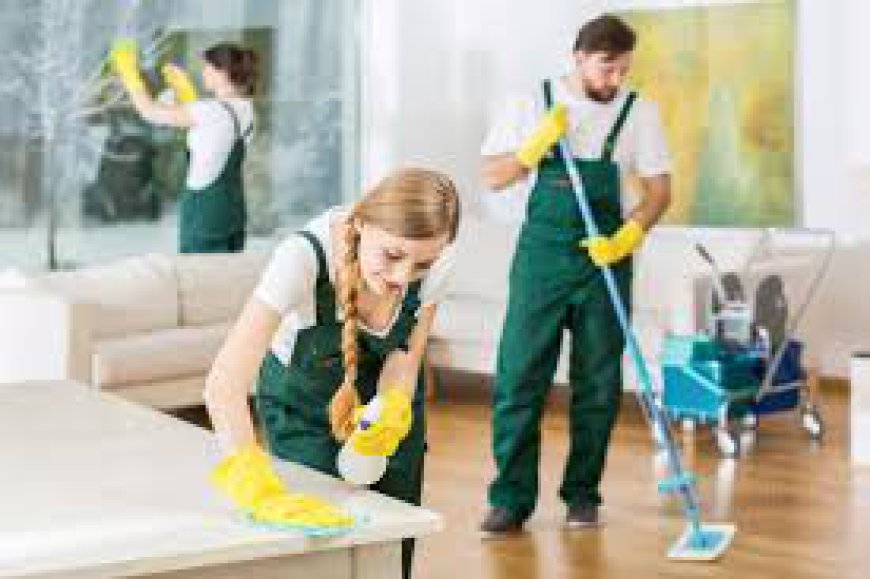 How to Choose the Best Domestic Cleaning Company in Your Area