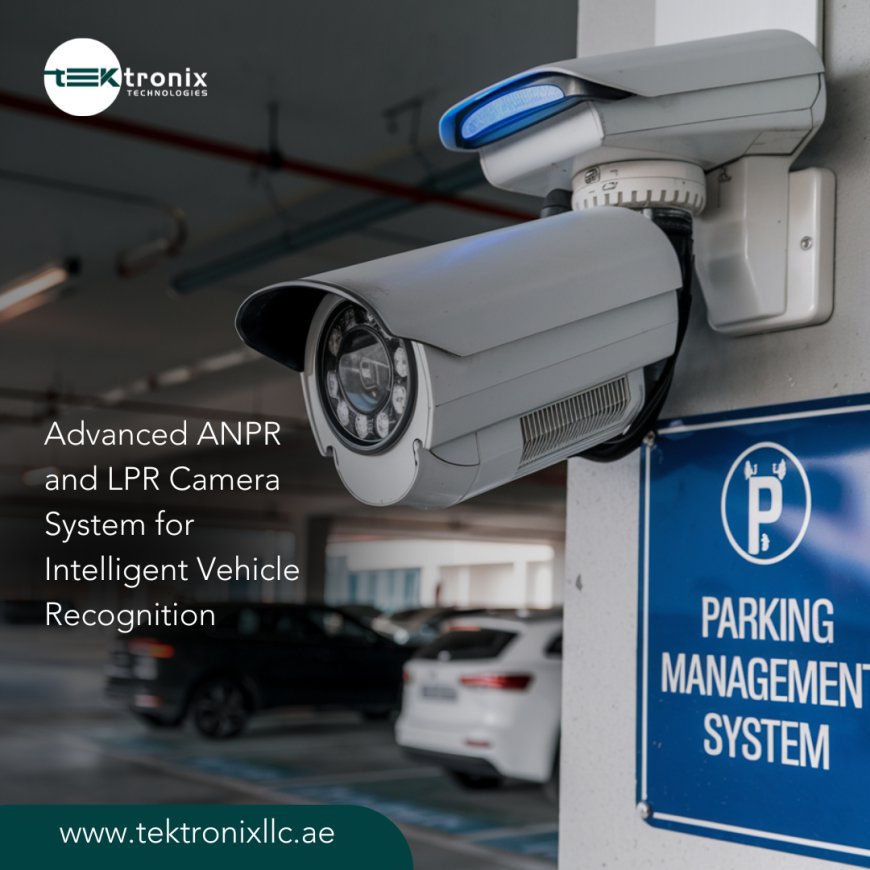 AI-powered surveillance: ANPR & LPRS cameras