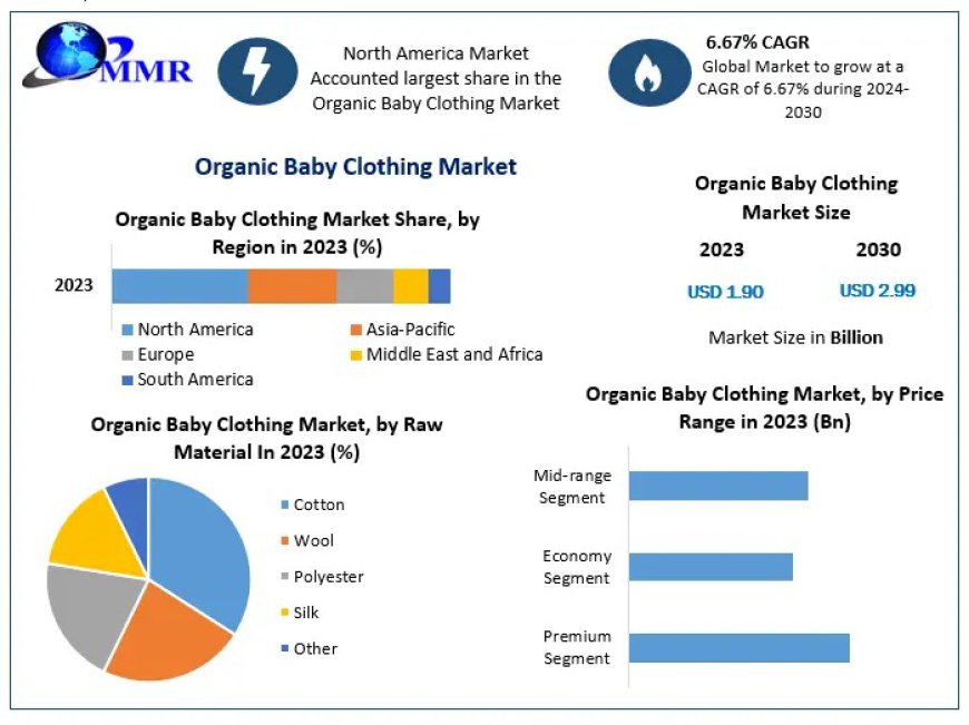 Organic Baby Clothing Business: Expansion and Opportunities Through 2030