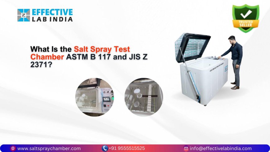 What Is the Salt Spray Test Chamber ASTM B 117 and JIS Z 2371?