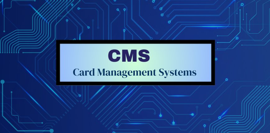 The Evolution and Importance of Card Management Systems