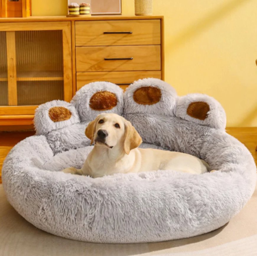 Fluffy Dog Beds: A Cozy Retreat for Dogs of All Sizes