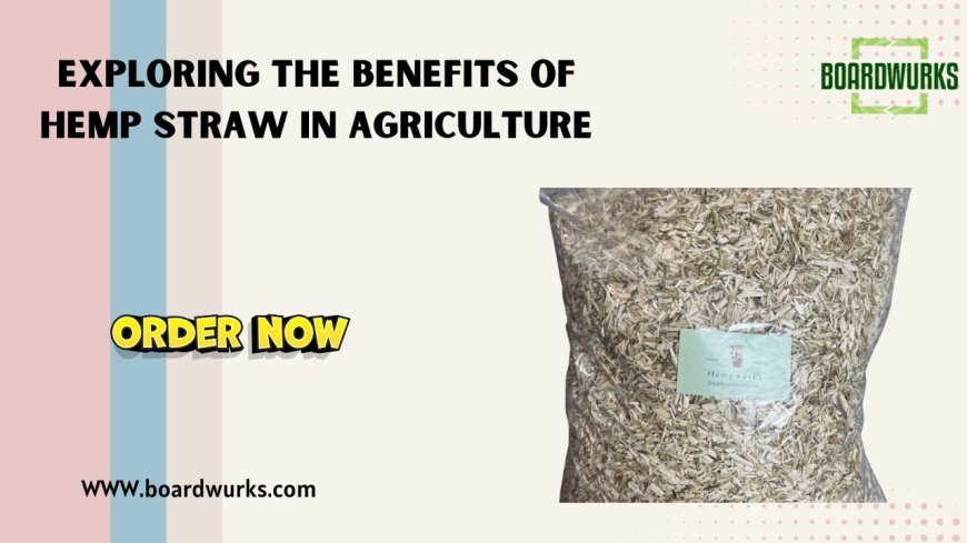 Exploring the Benefits of Hemp Straw in Agriculture