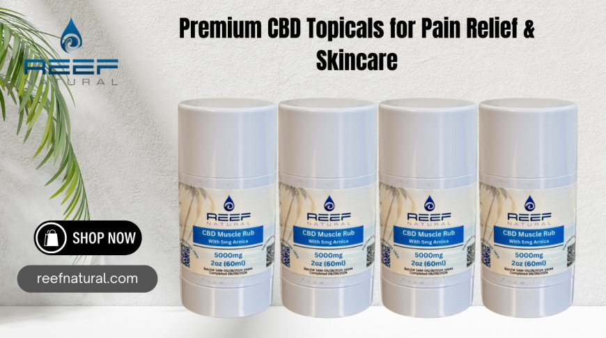 Premium CBD Topicals for Pain Relief & Skincare | Reef Natural