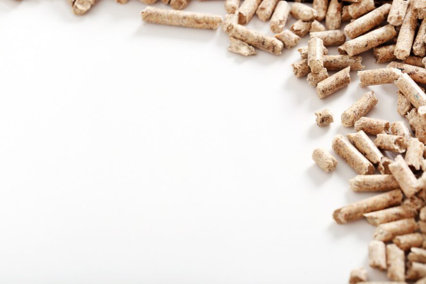 Germany Animal Feed Market: Insights, Trends, and Growth Opportunities