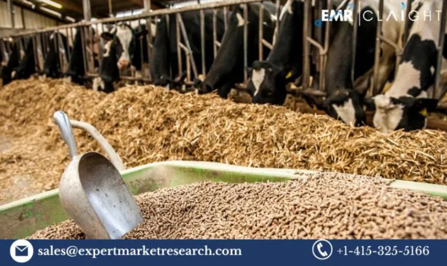 Cattle Feed Market Size, Share, Report, Trends & Forecast | 2034