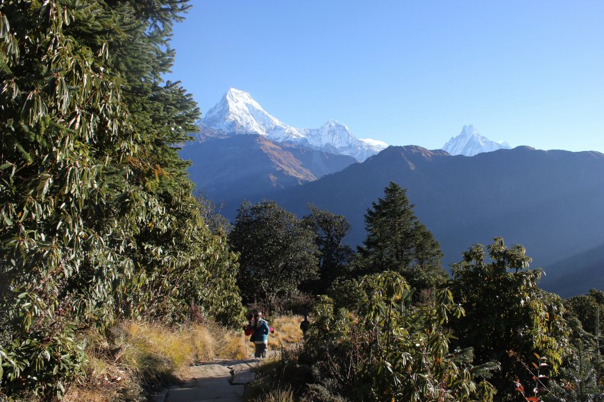 Langtang Valley Trekking: Explore the Hidden Treasures of the Himalayas