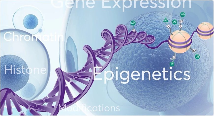 Epigenetics Market Revenue Poised for Significant Growth During the Forecast Period